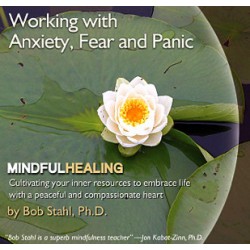 Working with Anxiety, Fear, and Panic