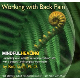 Working with Back Pain